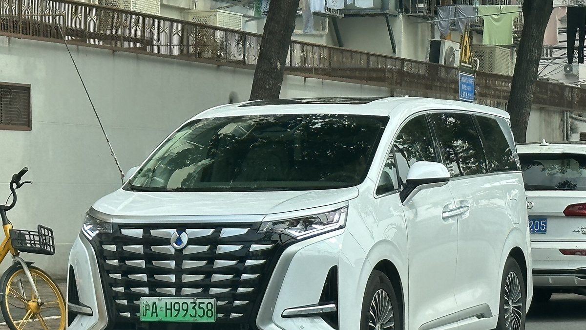 Denza D9 DM-i — MPV (PHEV)